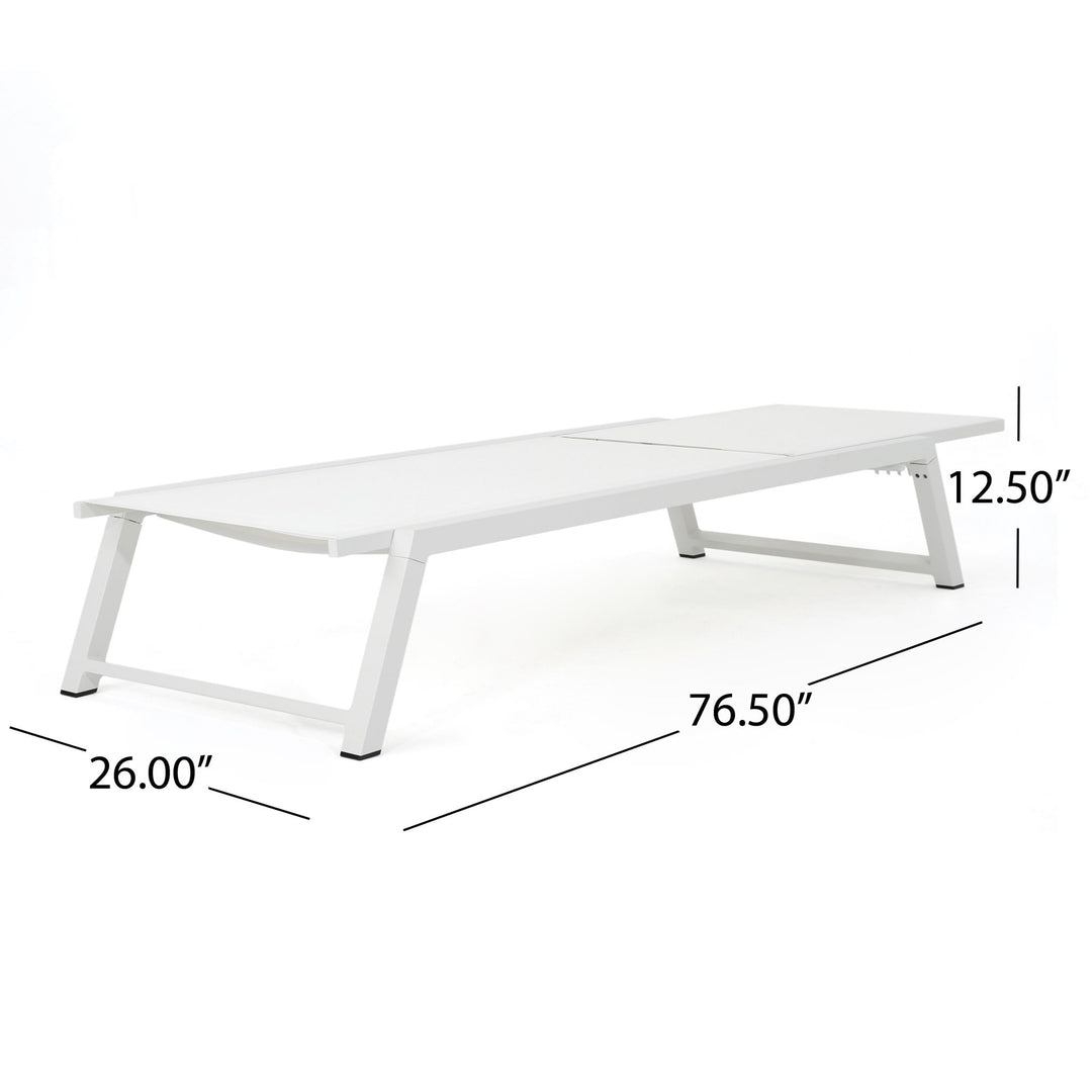 Myers - Modern Chaise Lounge Set With Adjustable Back