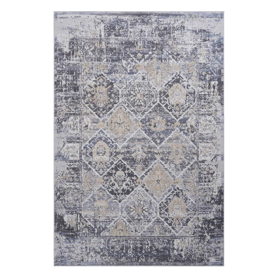 Payas - 5' X 7' Traditional Area Rug - Gray / Blue
